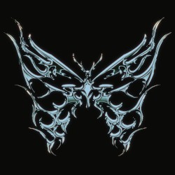 Moth