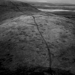 Bounds