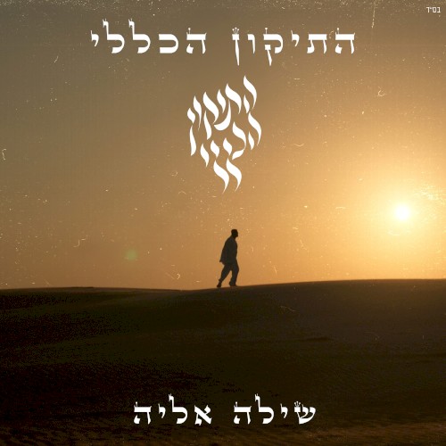 התיקון הכללי
