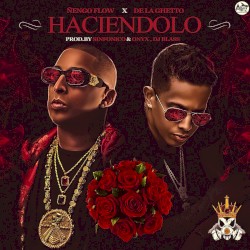Haciéndolo