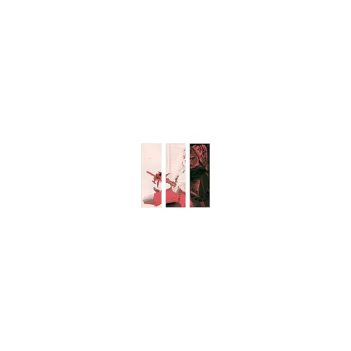 3NIGHTS (remix)