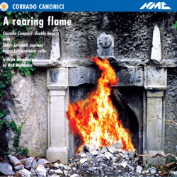 A Roaring Flame