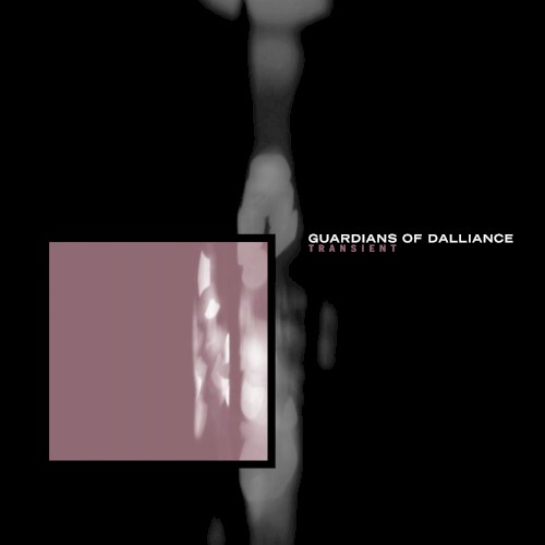 Transient