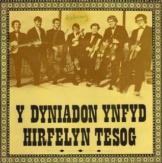 Y Dyniadon Ynfyd Hirfelyn Tesog