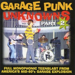 Garage Punk Unknowns Part 2