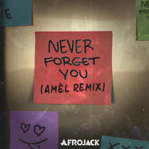 Never Forget You (Amél remix)