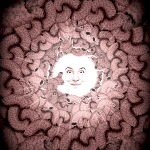 Animation Mix
