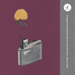 Light My Flower