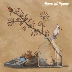 Alone at Home