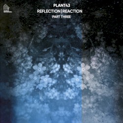 Reflection | Reaction – Part Three