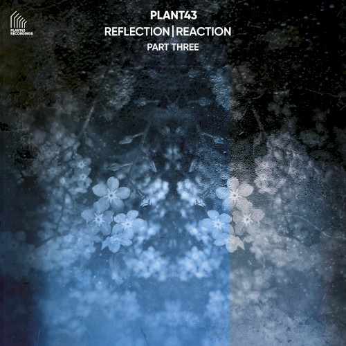 Reflection | Reaction – Part Three