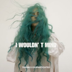 I wouldn't mind (Techno Version)