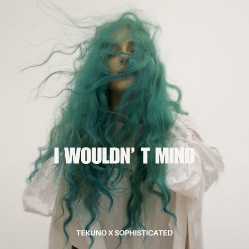 I wouldn't mind (Techno Version)