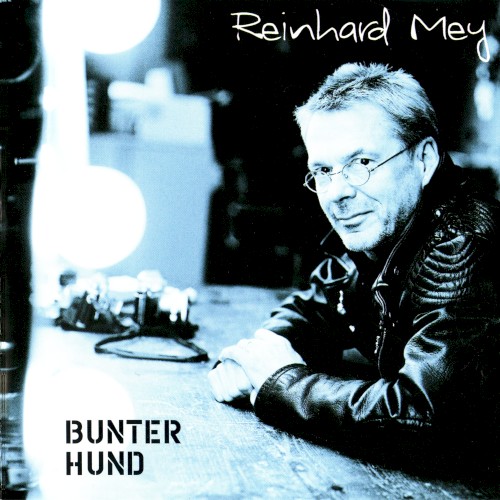 Bunter Hund