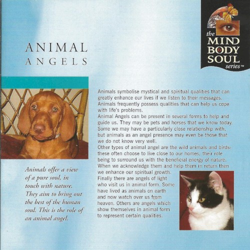 Animal Angels