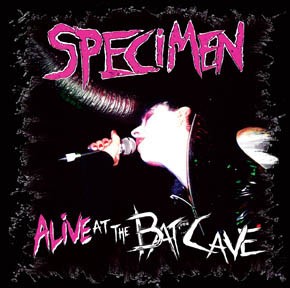 Alive at the Batcave