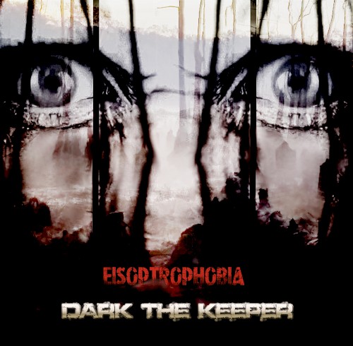 Eisoptrophobia