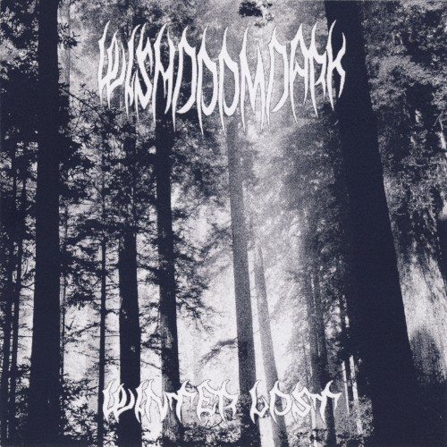 Winter Lost