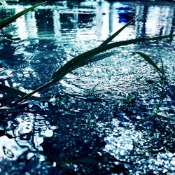 hide from the rain