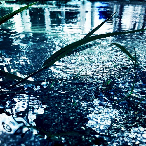 hide from the rain