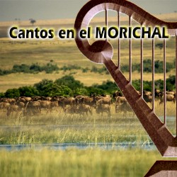 Cantos en el Morichal