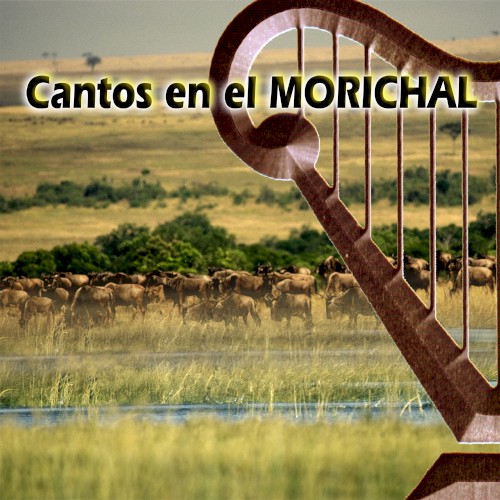 Cantos en el Morichal