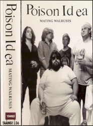 Mating Walruses