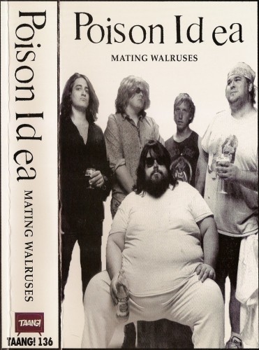 Mating Walruses
