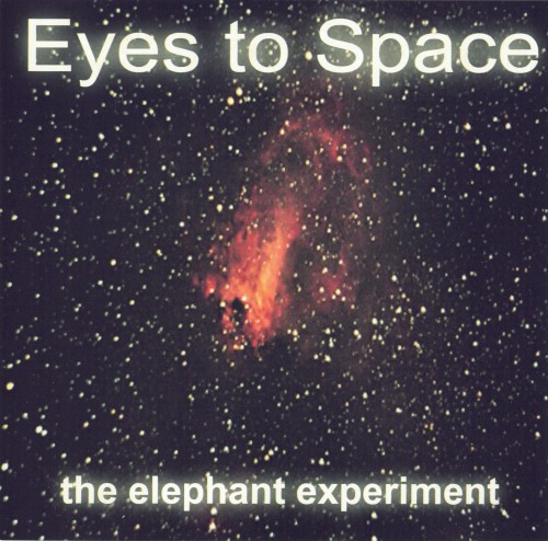 The Elephant Experiment