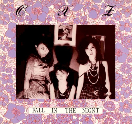 Fall in the Night