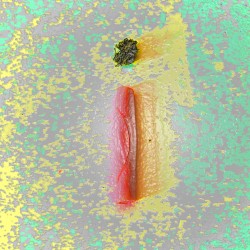 INTERNET01