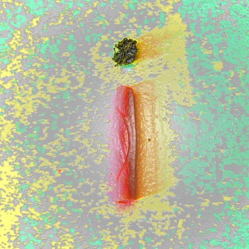 INTERNET01