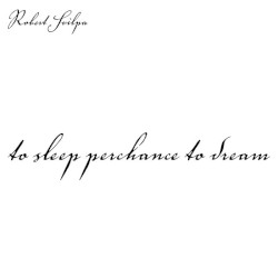 To Sleep, Perchance to Dream