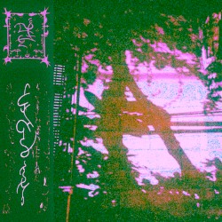 alëce iΩic