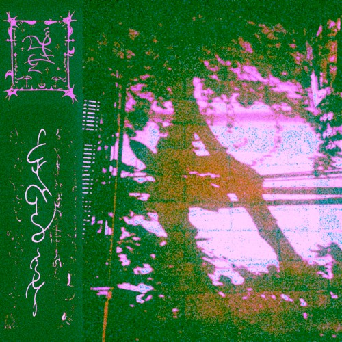alëce iΩic