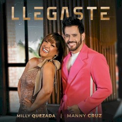 Llegaste