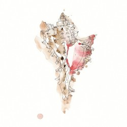 Aphrodisiac