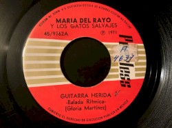 Guitarra herida / Al fin tengo tu amor