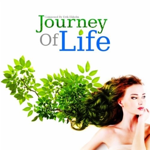 Journey of Life