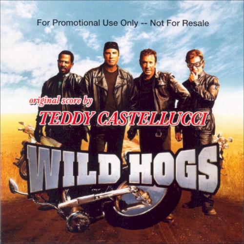 Wild Hogs