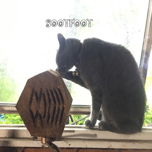 Sootfoot