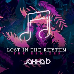 Lost in the Rhythm: The Remixes