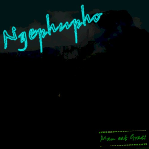 Ngephupho