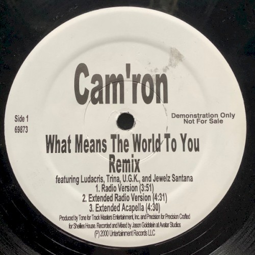 What Means the World to You (remix)