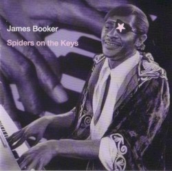 Spiders on the Keys: Live at the Maple Leaf Bar