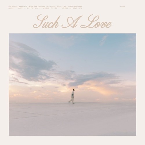 Such a Love (live)