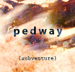 Subventure
