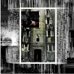 Broken Window Theory