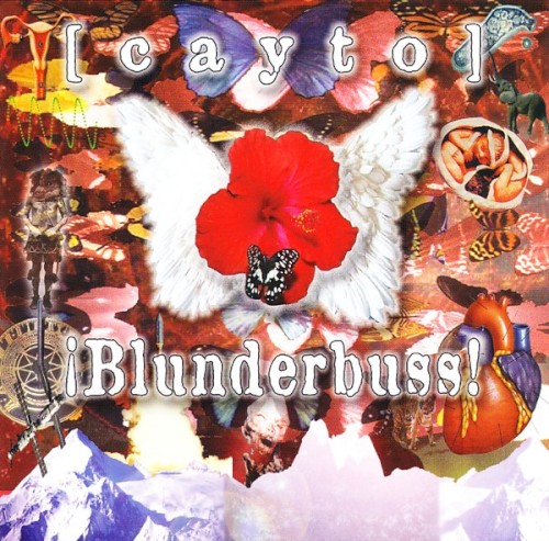 Blunderbuss