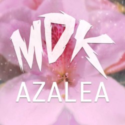 Azalea